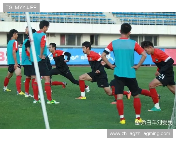 足球青训体系的现状与发展趋势